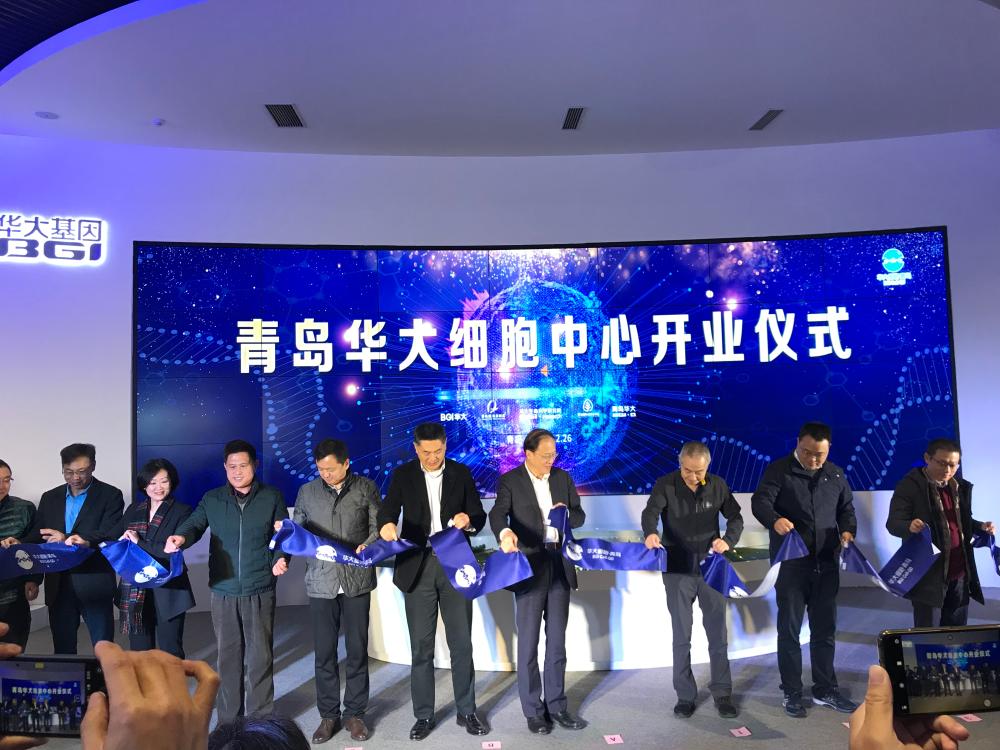 12月26日,青岛华大细胞中心项目启用仪式在青岛华大基因研究院内举行.